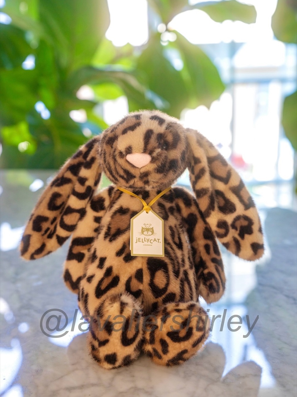 Jellycat Cobblehop Bunny Ruby Cruiser Exclusive NWT Authentic